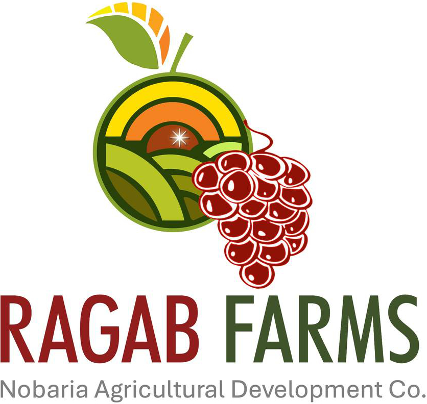 Ragab Farms